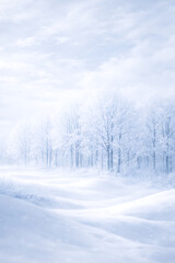 Obraz premium Ethereal Winter Wonderland Scene with Frosty Forest and Snowy Hills