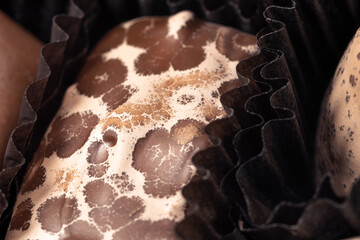 Expired square chocolate candy close up. Bloom of chocolate with recrystallization of fat or sugar