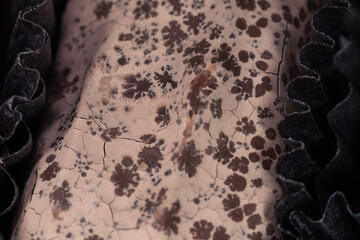 Bloom of chocolate with recrystallization of fat (fat bloom) or sugar (sugar bloom). Expired chocolate candy close up