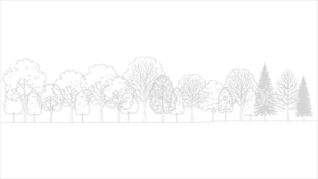 Set of Various Architectural Tree Line Art Illustrations: Coniferous and Deciduous Tree Outlines for Landscape Design Plans, CAD Blocks, and Environmental Graphics
