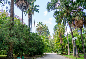 View in a park in Naples, Italy
