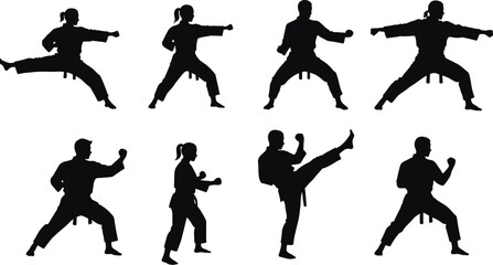 Martial arts silhouette, karate pose, high kick, defensive stance, black figure, combat training, discipline, strength, uniform, belt, action
