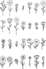 set of vector flowers