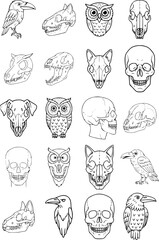 set of animals skull