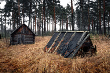 Abandoned house in the woods in autumn cloudy day.