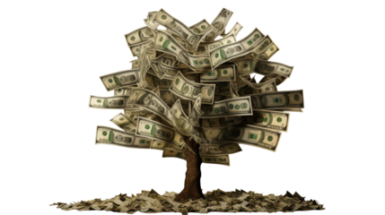 Money tree with dollar bills growing abundantly on black