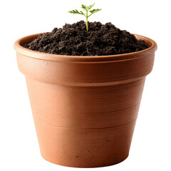 Green plant growing in soil inside terracotta pot isolated on transparent background.