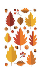 Obraz premium Colorful flat lay of various autumn leaves, acorns, and berries arranged on a white background with warm, earthy tones.