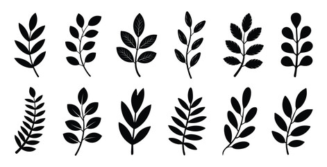 Diverse black leaf silhouettes collection. Black leaf vector graphics and plant shape icons.