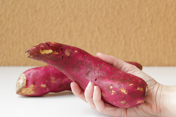 Female hand holding a raw sweet potato with copy space. Horizontal food photography ideal for healthy eating, nutrition education, organic food marketing, agriculture content, and vegetarian lifestyle