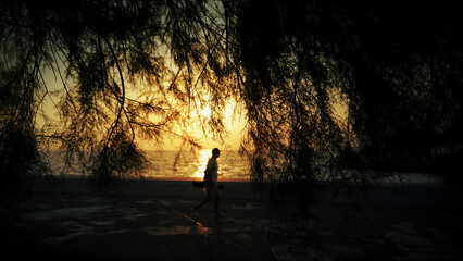 Walking Silhouette Framed By Trees At Sunset