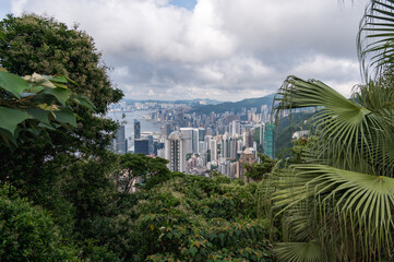 View of Hong Kong and Kowloon from Victoria peak. Panorama of Hong Kong, skyscrapers and nature.