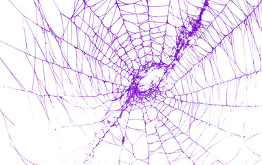 A vibrant purple spider web with a dense center on a transparent background, perfect for adding a mystical or halloween touch to projects