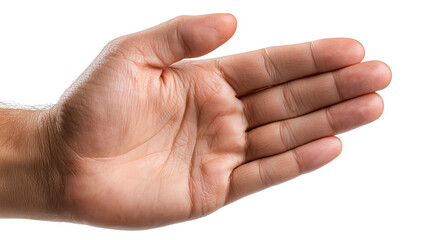 A hand with a palm facing up