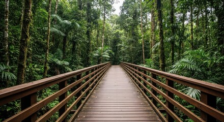 Fototapeta premium A wooden bridge leads into a lush, green, dense, tropical forest