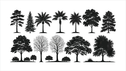 Set of Various Tree Silhouettes Vector Illustration: Diverse Coniferous, Deciduous, and Palm Trees for Landscape Design, Nature Backgrounds, and Graphic Projects  © Uttpol Saha