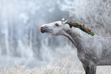 Horse in snow with cristmas decor