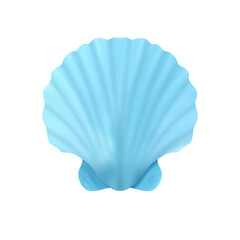 blue sea shell