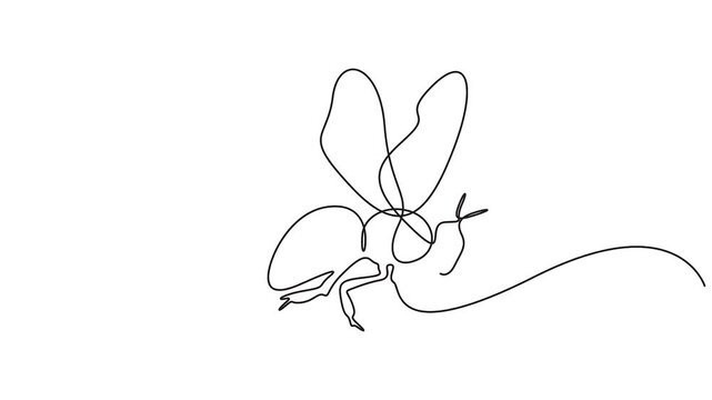 Self animated minimalist single line drawing of a honey bee. Continuous one line drawing of honey bee animation