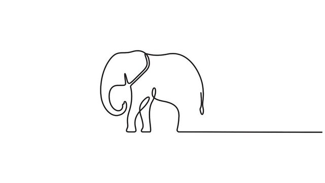 Self animated minimalist continuous one-line drawing of an elephant, Full length single line art animation