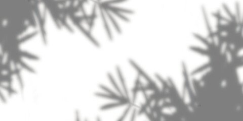 Soft grey shadows of bamboo leaves cast against clean transparent background creating minimalist and serene natural aesthetic for overlay or design backgrounds