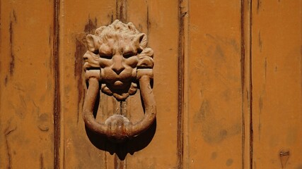 metal lion head doorknob on wood