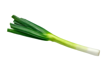 Single green onion on white background