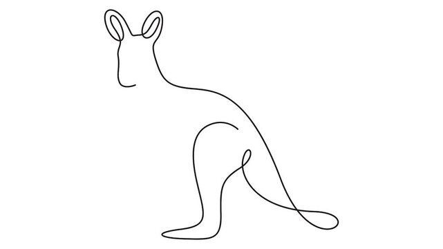 Self animated minimalist continuous one-line drawing of a kangaroo. Full length single line art animation