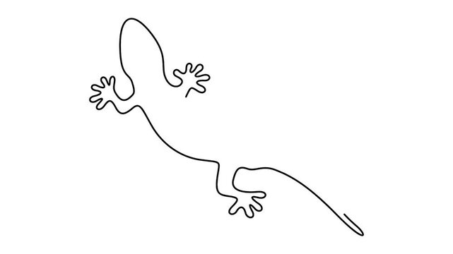 Self animated minimalist line-art drawing of a lizard, possibly a gecko, designed as an illustration or tattoo idea. Full length single line art animation