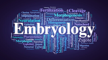 Embryology Word Cloud. Core Scientific Terms on Human Prenatal Development and Genetics