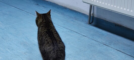 black and white © Darius