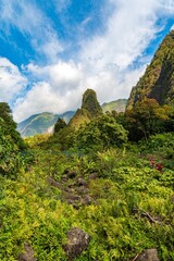 Magische Landschaften auf Maui