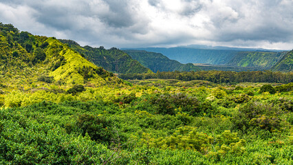 Magische Landschaften auf Maui