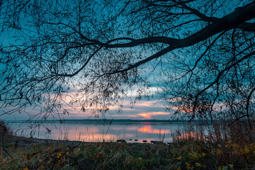 Obraz premium Sunset Through Branches - Curonian Lagoon, Lithuania