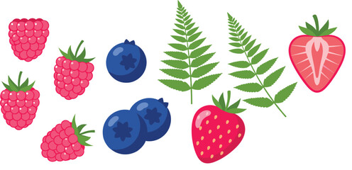 Berry Fruits and Fern Leaves Vector Set with Strawberry Blueberry Raspberry in Flat Style © Sumon Creative