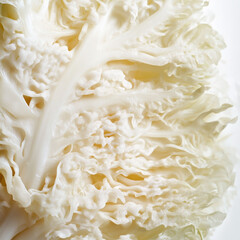 Close up of fresh white cabbage cross section texture


