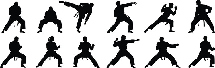 Martial arts silhouette vector, karate poses, taekwondo stances, kicking, punching, training, black uniform figures, combat moves, self-defense illustration © KailashChandra