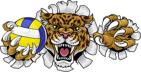 A jaguar, panther, leopard or cheetah wildcat spotted cat volleyball sports team mascot holding a ball © Christos Georghiou