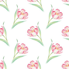 Seamless borders of tulips and willows. Watercolor illustration. For fabric, wallpaper, packing paper, greeting cards, design, decoration and illustration.