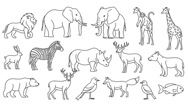 Diverse group of wild animals in simple line art style for educational use