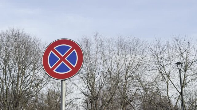 No Parking Sign: A classic No Parking sign stands boldly against a backdrop of bare tree branches and a pale blue sky, a clear symbol of restrictions and regulations.