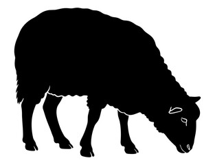 Black Silhouette of a Grazing Sheep on a White Background Farm Animal Icon and Symbol © Hens Craft