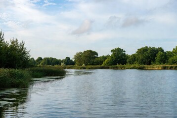 Fototapeta premium Serene summer landscape featuring a calm river winding through lush green reeds and dense forest under a bright cloudy sky