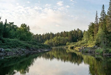 Peaceful river flowing gently through a lush green forest landscape under a soft, cloudy sky in a serene natural environment.