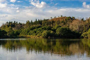 A scenic view across a tranquil lake reflecting a vibrant dense green forest and a distant sunlit hill under a bright blue sky with scattered white clouds.