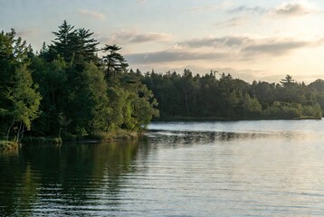 Serene natural landscape of a calm lake surrounded by lush green forests under a soft, cloudy sky at golden hour, with gentle reflections on the water's surface
