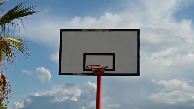 A  basketball hoop and backboard stand firmly installed on an empty autumn beach between palm trees. 