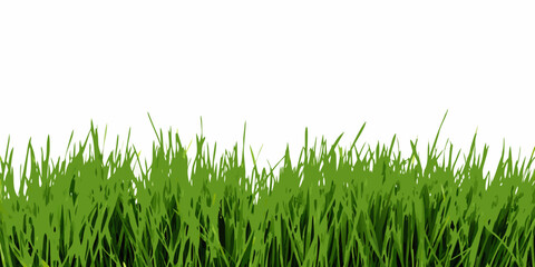 Fototapeta premium A simple image showcasing a patch of vibrant green grass on white