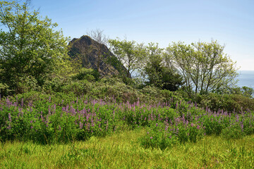 Spring Light Along the Oregon Coast Above the Pacific