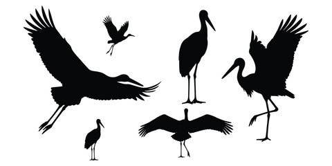 Obraz premium A set of flamingo silhouette logo.